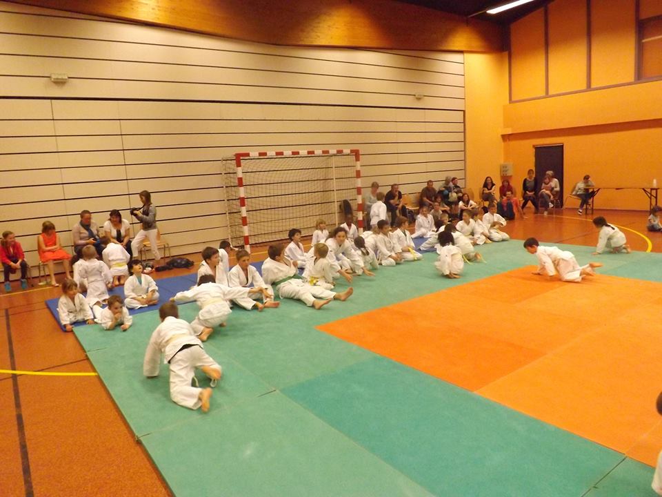 Tournoi Judo 2015