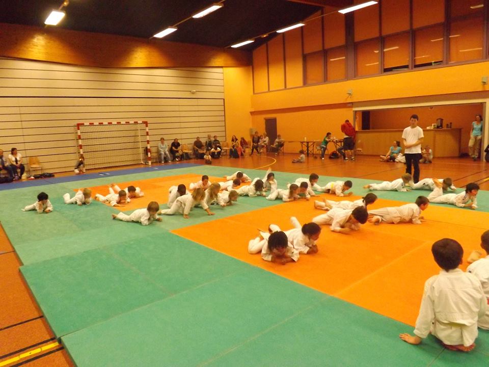 Tournoi Judo 2015