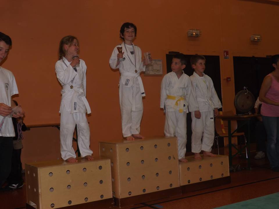 Tournoi Judo 2015