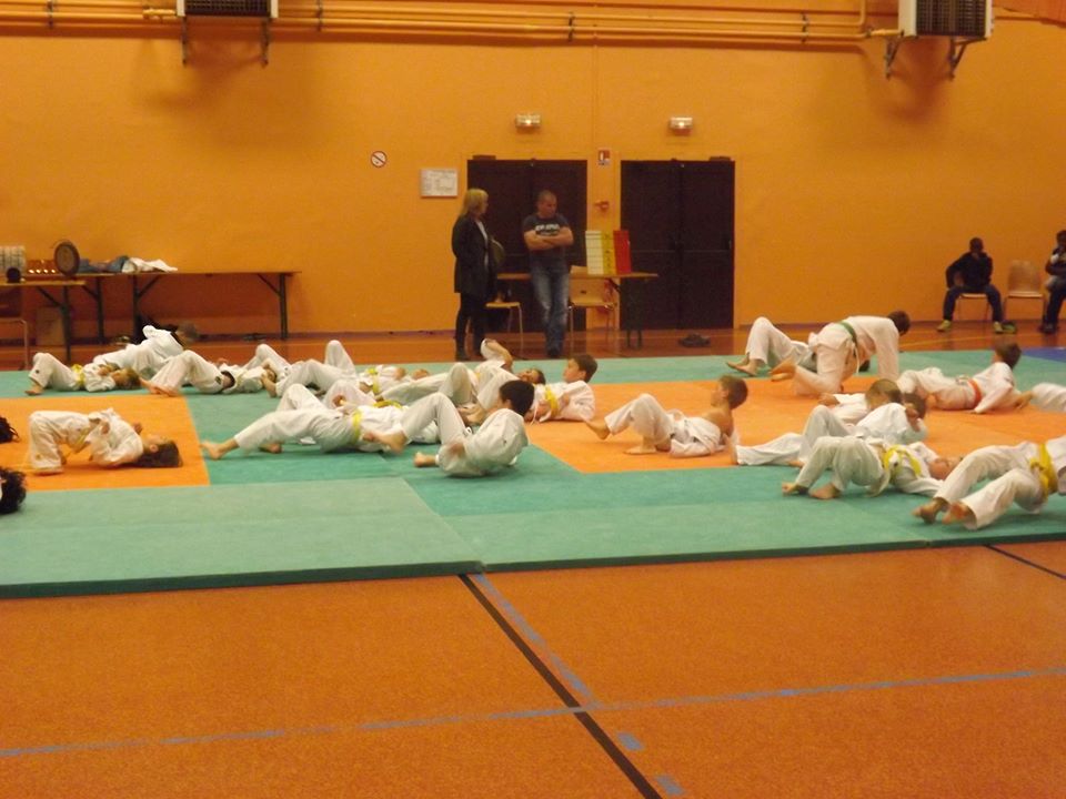 Tournoi Judo 2015