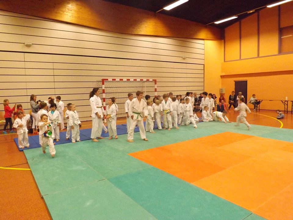 Tournoi Judo 2015