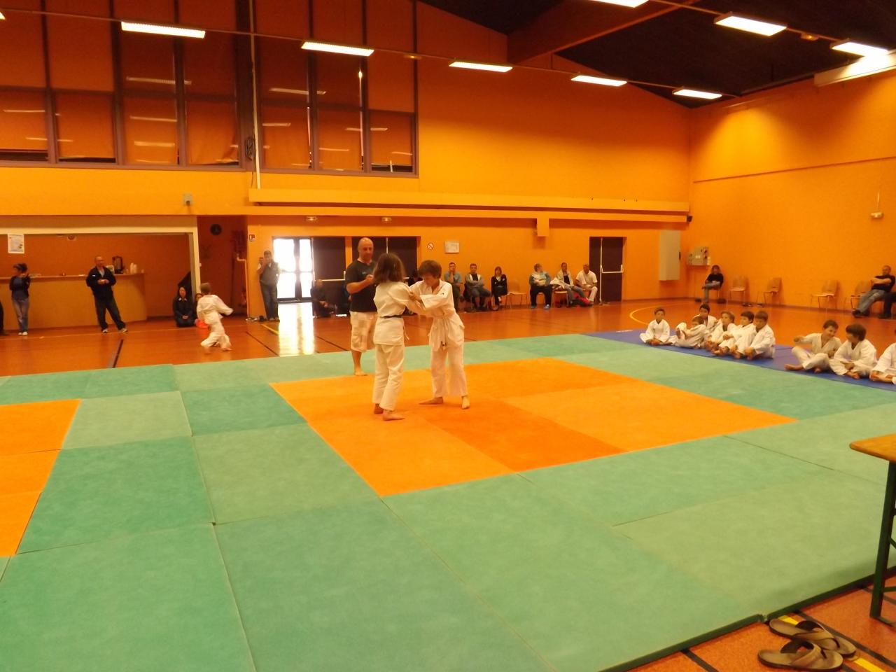 Tournoi de Judo 2014