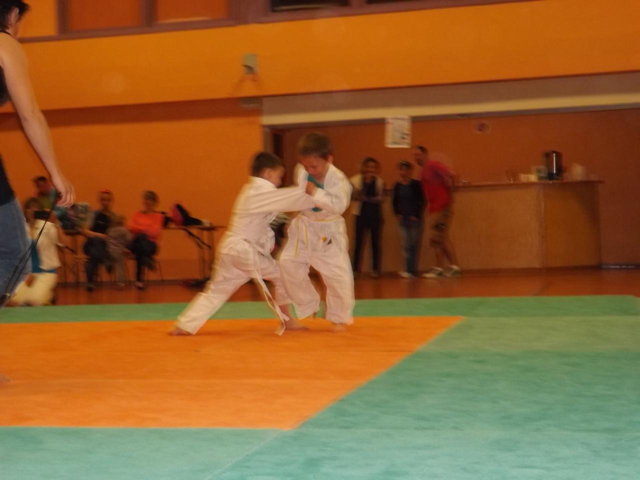 Tournoi de Judo 2014