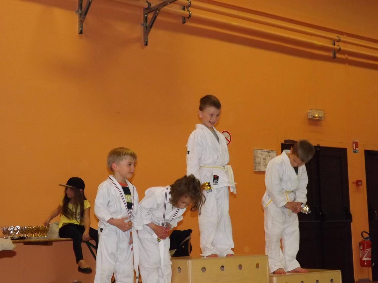 Tournoi de Judo 2014