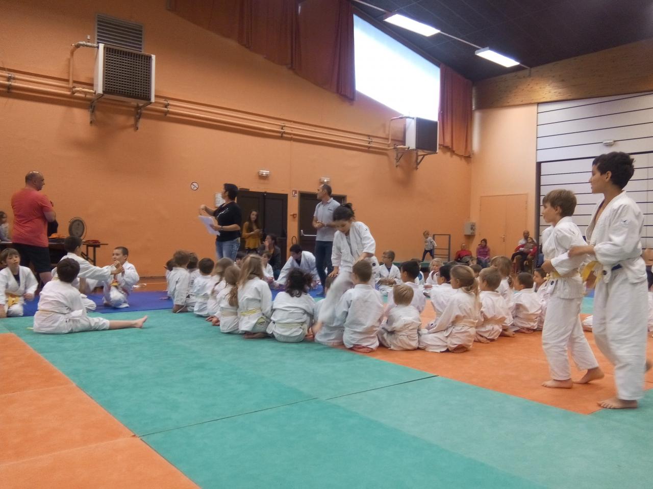 Competition Judo 2017