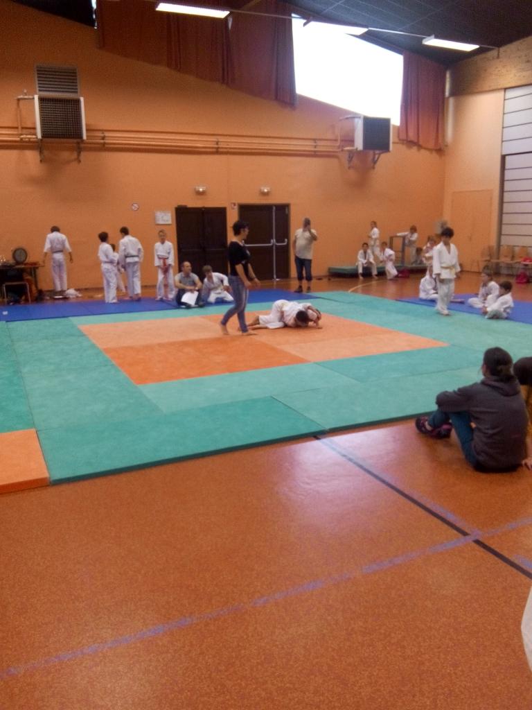 Competition Judo 2017